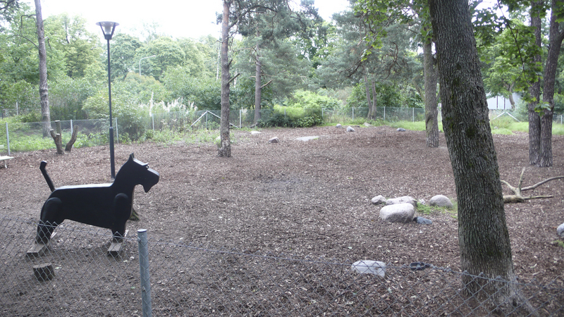 Lapinlahti_dog_park_big_dog_area.jpg